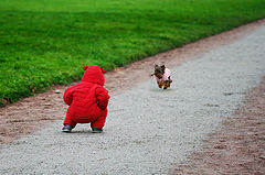 фото "Corrida."