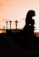 photo "About lions and lanterns."