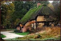 фото "home like paint from Pieter Breughel"