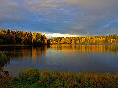 photo "Finnish autumn"