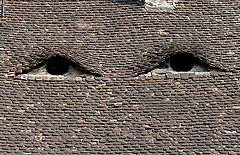 photo "Eyes house"