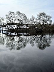 photo "The spring sky"