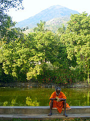 фото "Arunachala Teachings"