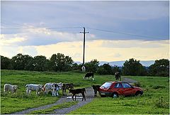 фото "Попал в окружение."