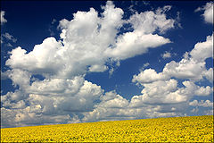 фото "Parade of clouds II"