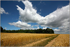 фото "Under the wing of the clouds"