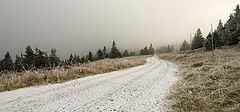 photo "winter road"