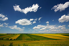 фото "Spring field"