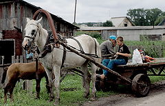 фото "...параллель... (или крестьяне)"