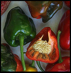 photo "Peppers"