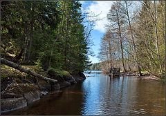 photo "forest lake"