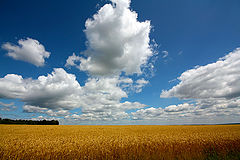 фото "Perspective clouds"