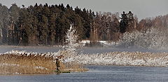 фото "Намахнуло морозностью"