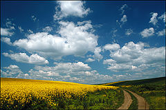 фото "Spring landscape."