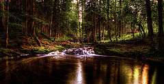 photo "The Creek"