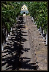 photo "Santa Gertrudes Farm"