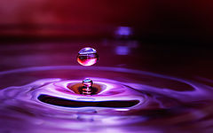 photo "Just a drop of water"