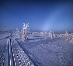 photo "Blue Morning"