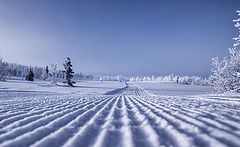 photo "The mountain highway."