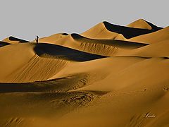 фото "Sand dunes"