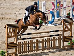 photo "show jumping 02"