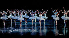 фото "Ballet Don Quichote"