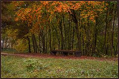 фото "Художник осень ..."