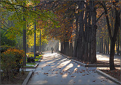 фото "осень в парке"