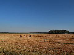 фото "В конце лета"