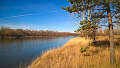 фото "На берегу"