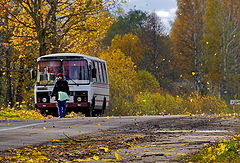 фото "Ельня"