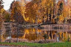 фото "Городские зарисовки"