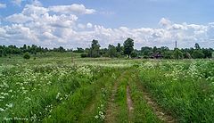 photo "Glushnevo, Opochesky district"