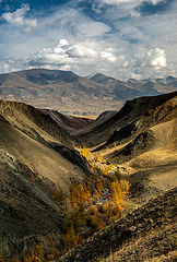 фото ""Каменный слалом""