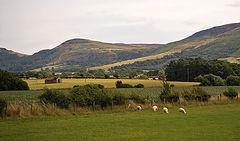  English countryside...