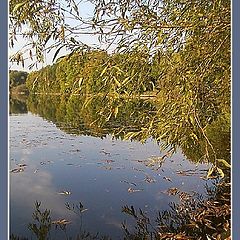 фото "Once upon a time at a lake in the morning.6"