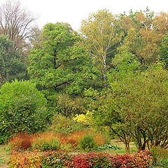 photo "Phases of a fall."