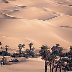 photo "Sahara"
