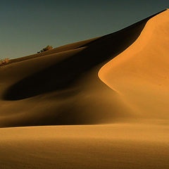 photo "Dune"