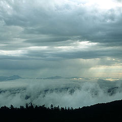 photo "The typhoon leaves"