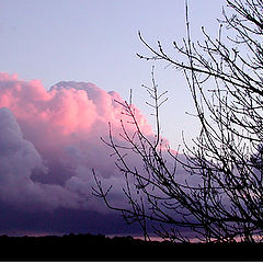 фото "red cloud"