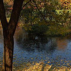 photo "Morning. Frozen pond."