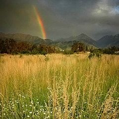 photo "Rainbow"