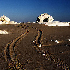 photo "Tracks"