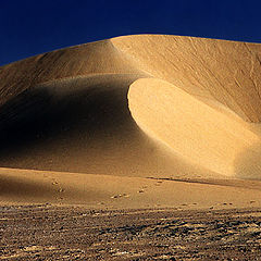 photo "Dunes"