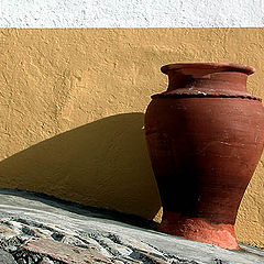 фото "the pot"