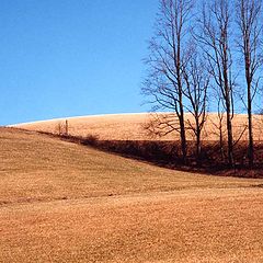 photo "Carolina Country"