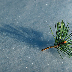 photo "Sundial"