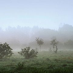 фото "Fog"