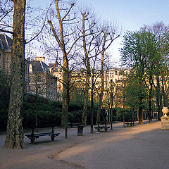 photo "Sunday morning in Paris"